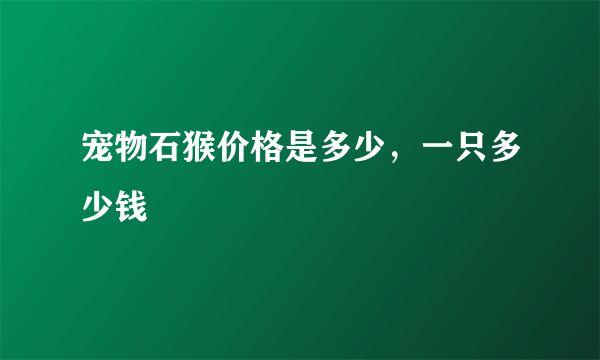 宠物石猴价格是多少，一只多少钱