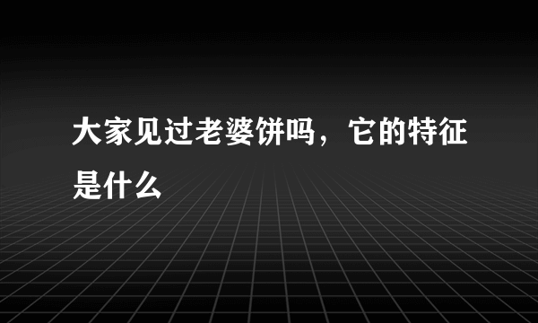 大家见过老婆饼吗，它的特征是什么