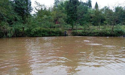 淌浑水什么意思