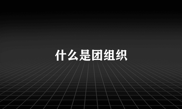 什么是团组织