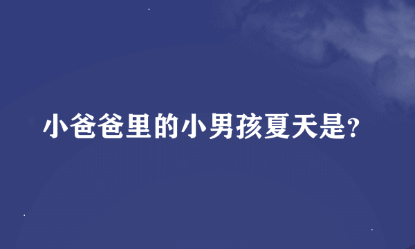 小爸爸里的小男孩夏天是？