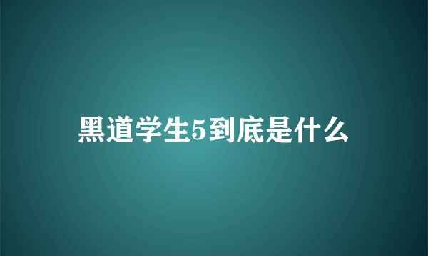 黑道学生5到底是什么