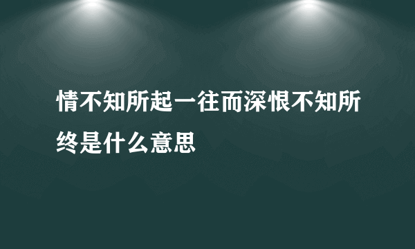 情不知所起一往而深恨不知所终是什么意思