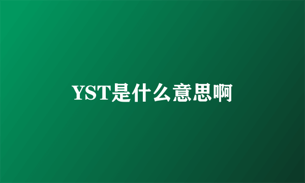 YST是什么意思啊