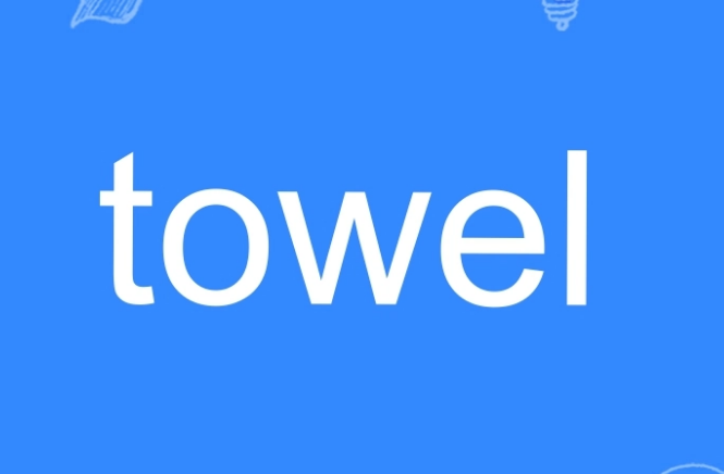 towel是什么意思