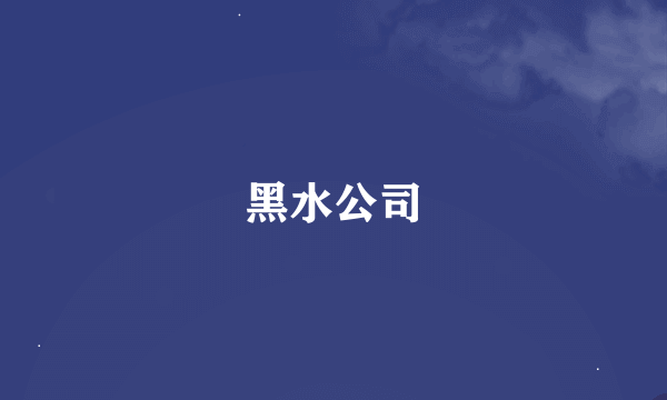 黑水公司