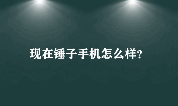 现在锤子手机怎么样？