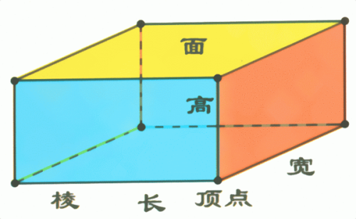 长方体的长宽高怎么区分