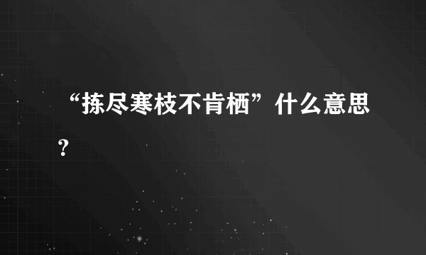 “拣尽寒枝不肯栖”什么意思？