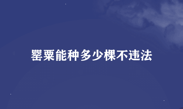 罂粟能种多少棵不违法