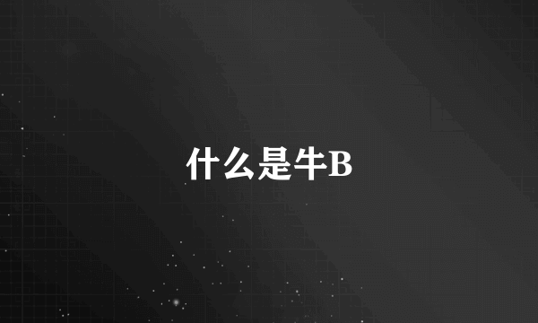 什么是牛B