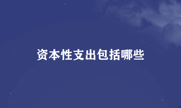 资本性支出包括哪些