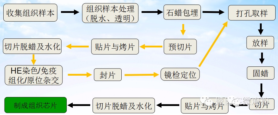 组织芯片的介绍