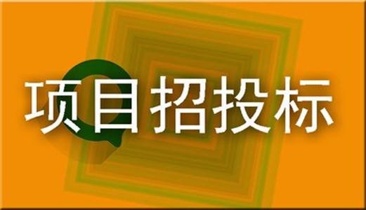 全国招投标网有哪些？