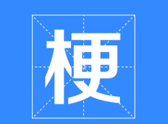 梗是什么意思