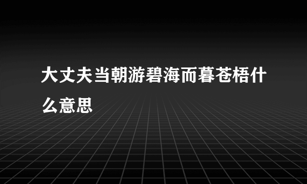 大丈夫当朝游碧海而暮苍梧什么意思