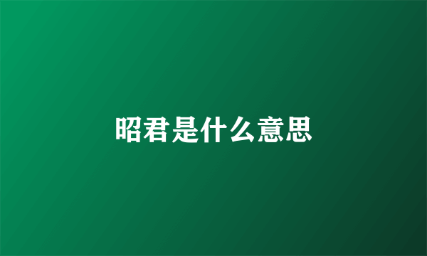 昭君是什么意思