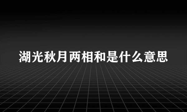 湖光秋月两相和是什么意思