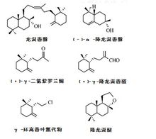 龙涎香是什么东西？