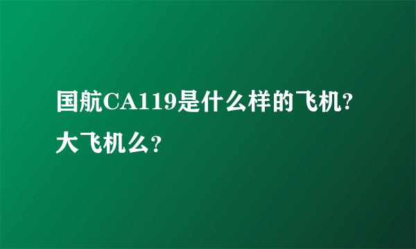 国航CA119是什么样的飞机?大飞机么？