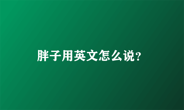 胖子用英文怎么说？