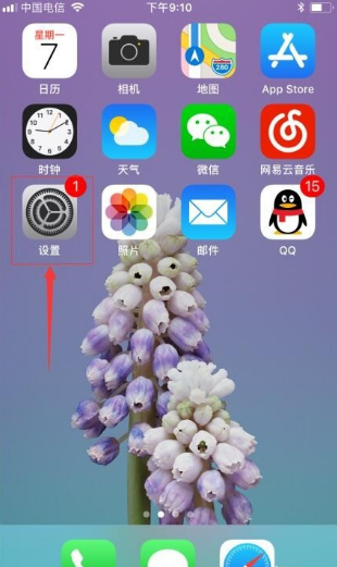 iphone的序列号是哪个