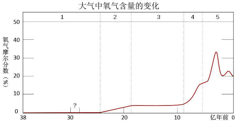 为什么人会死亡？