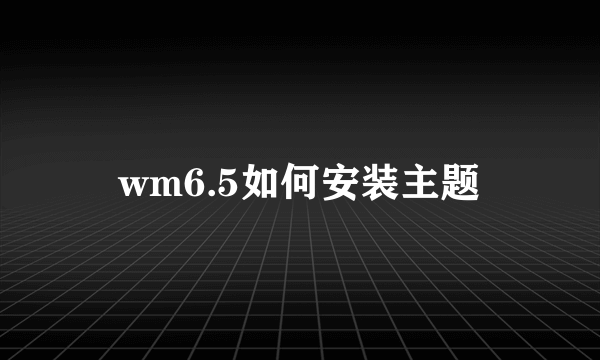 wm6.5如何安装主题