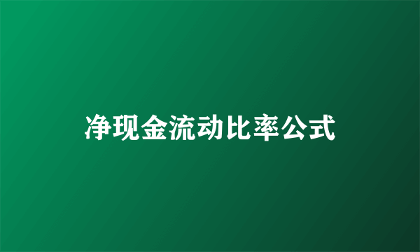 净现金流动比率公式