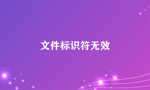 文件标识符无效