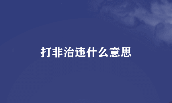 打非治违什么意思