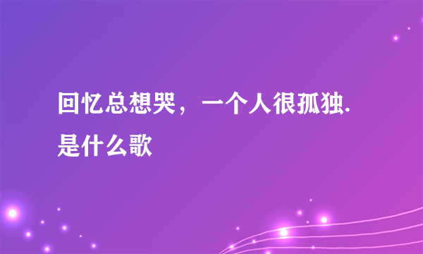 回忆总想哭，一个人很孤独.是什么歌