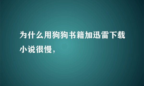 为什么用狗狗书籍加迅雷下载小说很慢，