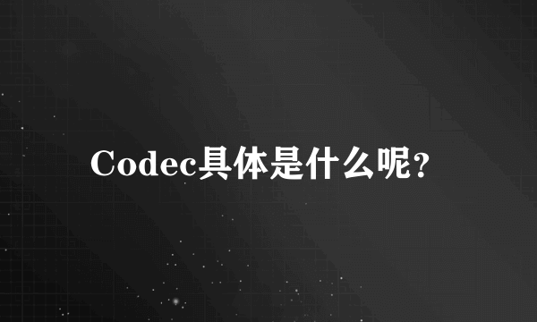 Codec具体是什么呢？