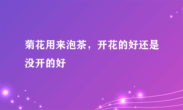 菊花用来泡茶，开花的好还是没开的好