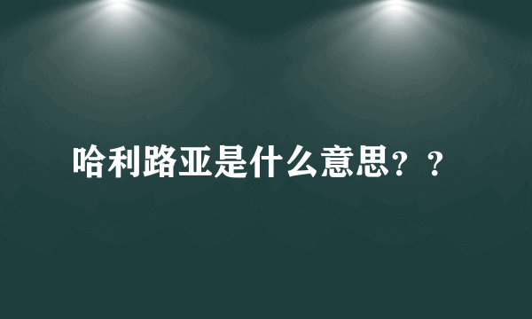 哈利路亚是什么意思？？