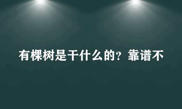 有棵树是干什么的？靠谱不