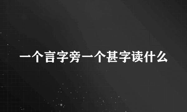 一个言字旁一个甚字读什么