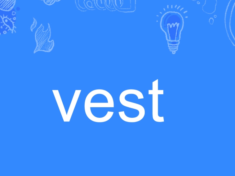 vest是什么意思