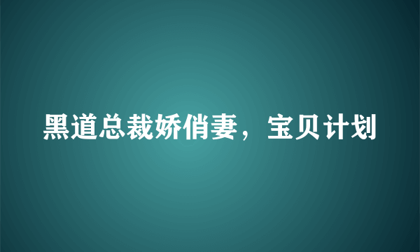 黑道总裁娇俏妻，宝贝计划