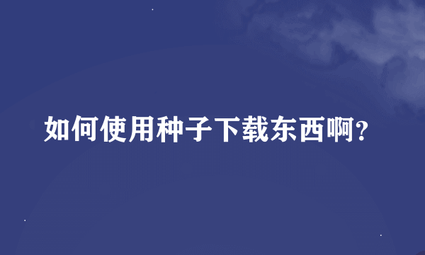 如何使用种子下载东西啊？