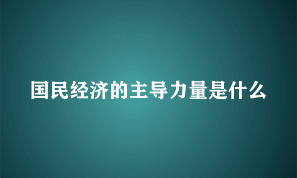 国民经济的主导力量是什么