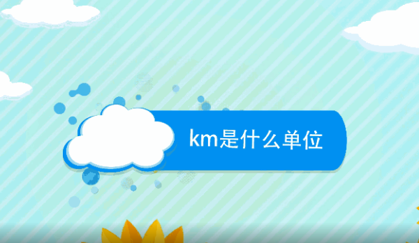 km是什么单位