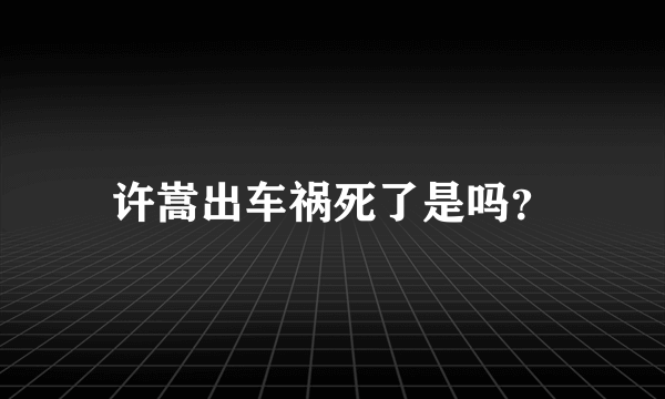 许嵩出车祸死了是吗？