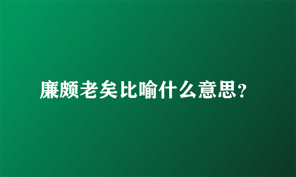 廉颇老矣比喻什么意思？