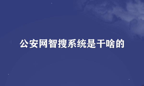 公安网智搜系统是干啥的