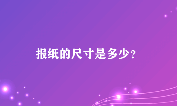 报纸的尺寸是多少？