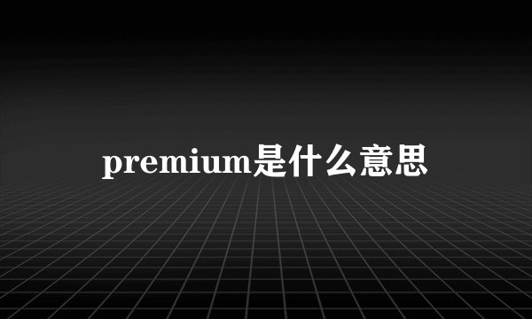 premium是什么意思