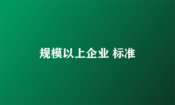 规模以上企业 标准