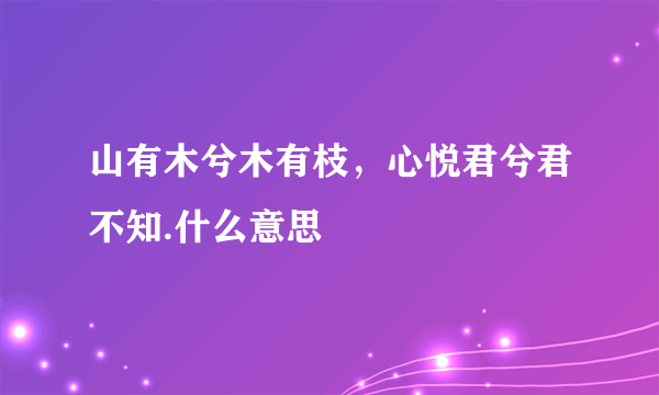 山有木兮木有枝，心悦君兮君不知.什么意思